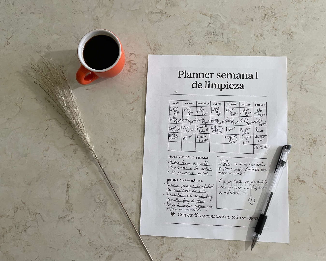 Planner semanal de limpieza